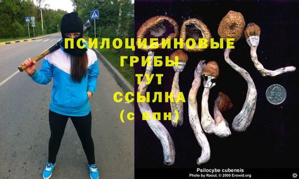 наркотики Аркадак