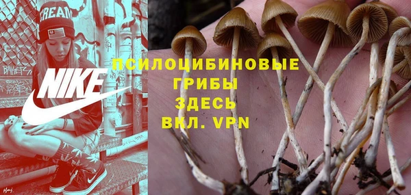 трава Алексин
