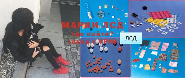 прущие грибы Алексеевка