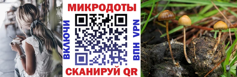 нарко площадка официальный сайт  наркотики  Калязин  Псилоцибиновые грибы Cubensis 